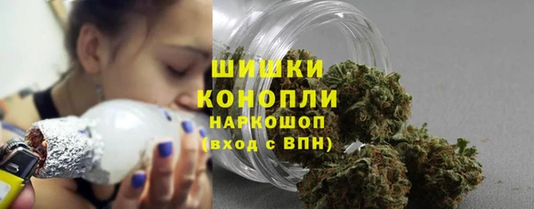трава Медвежьегорск