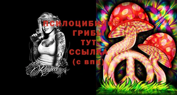 бутират Магас