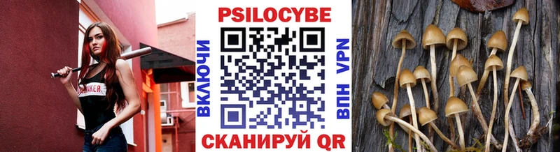 Купить закладки  Светлый  Галлюциногенные грибы мухоморы 